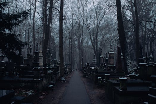 The Unexpected Burden: When a Tucson Wrongful Death Attorney Becomes Your Ally